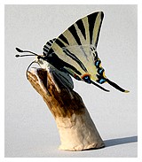 Statuette Papillon Flambé. B.Guédon