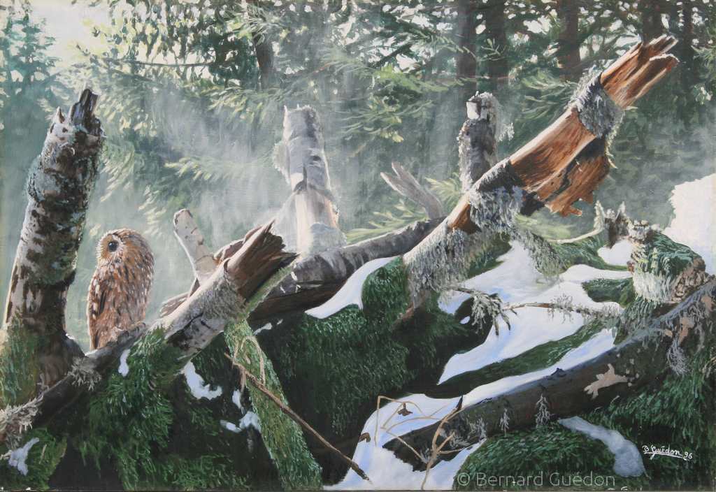 Chouette hulotte sur un tronc.Huile sur toile
Bernard Guédon Chouette hulotte sur un tronc.Huile sur toile Bernard Guédon
