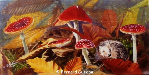 Peinture animalière,Herisson sous les champignons ,Amanites