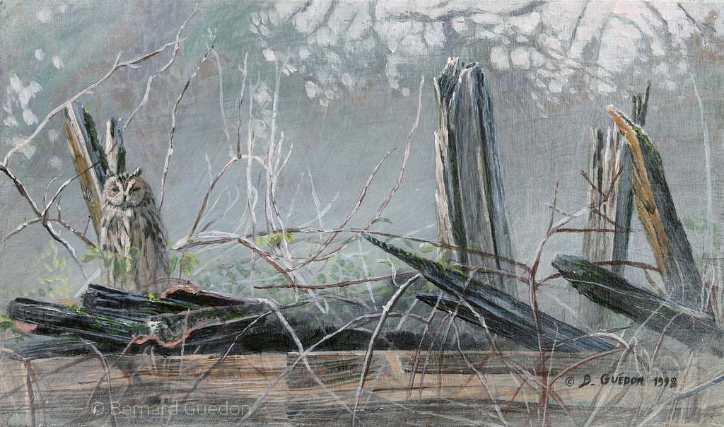 hibou-moyen-duc.Acrylique sur panneau Bernard guédon hibou-moyen-duc. Acrylique sur panneau Bernard Guédon